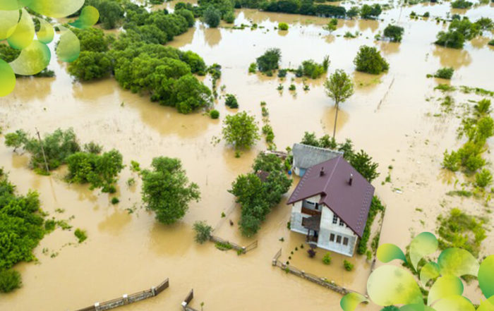 Flood Insurance - Dunham Insurance